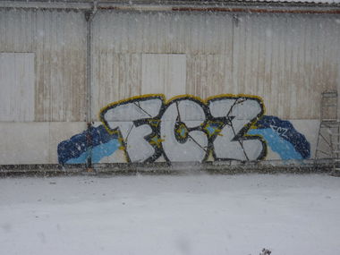 Graffiti Bombing in Zürich - Photo by Daydreamer - fcz, zürich, südkurve