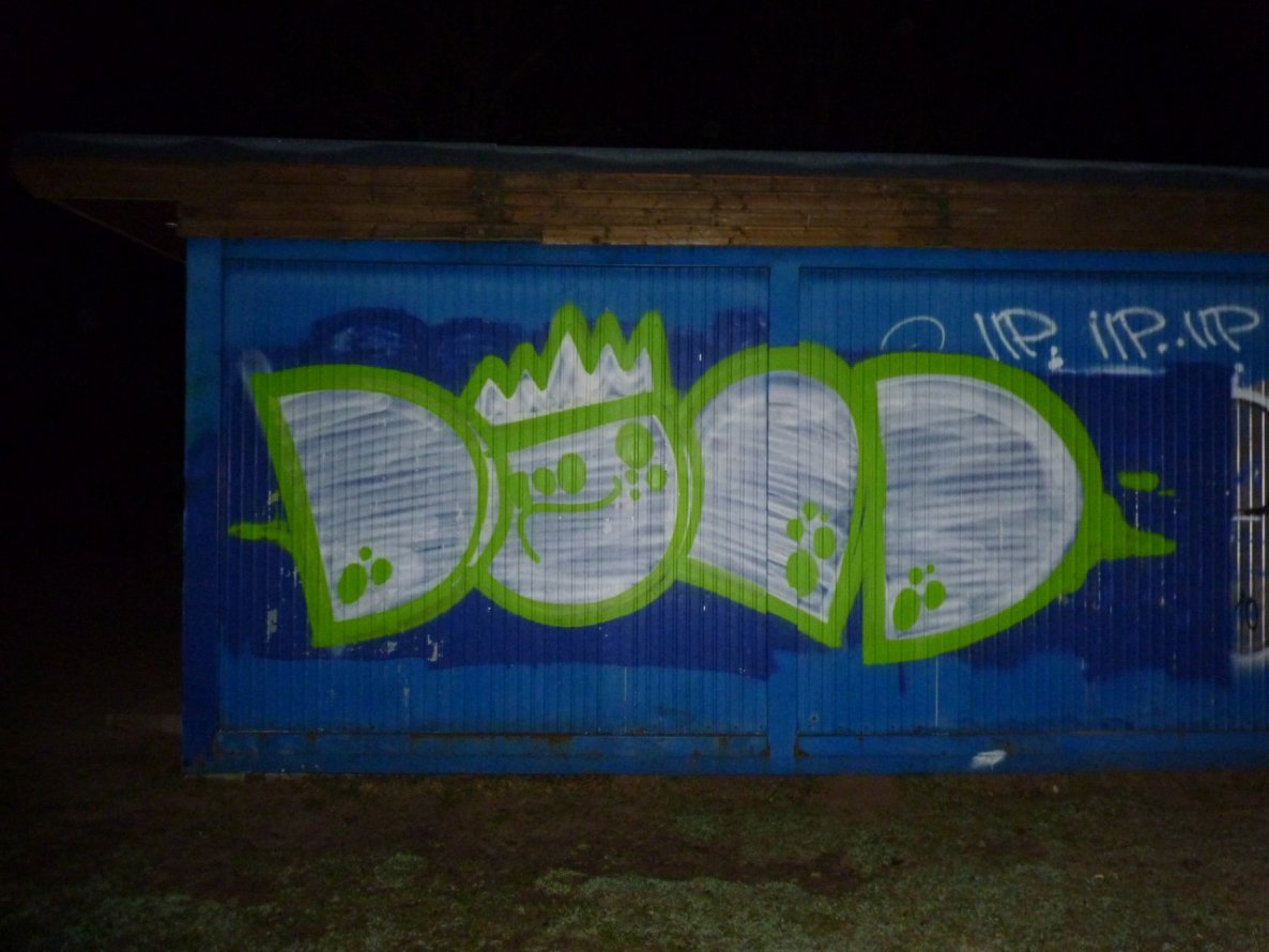 Graffiti Bombing in Kreis Segeberg - Photo by Daydreamer - doad, container (2015)