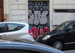 Photo #179446 by TagHagel