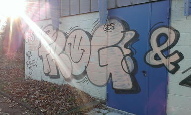 Graffiti Wall - Photo by Dead07Monkey - Frog