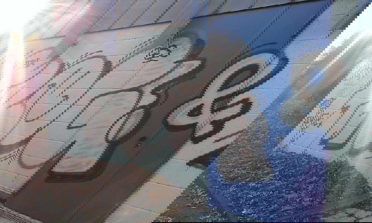 Graffiti Wall - Photo by Dead07Monkey - Frog