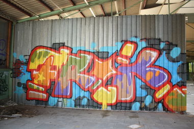 Graffiti Wall - Photo by Dead07Monkey - Frog, Oh