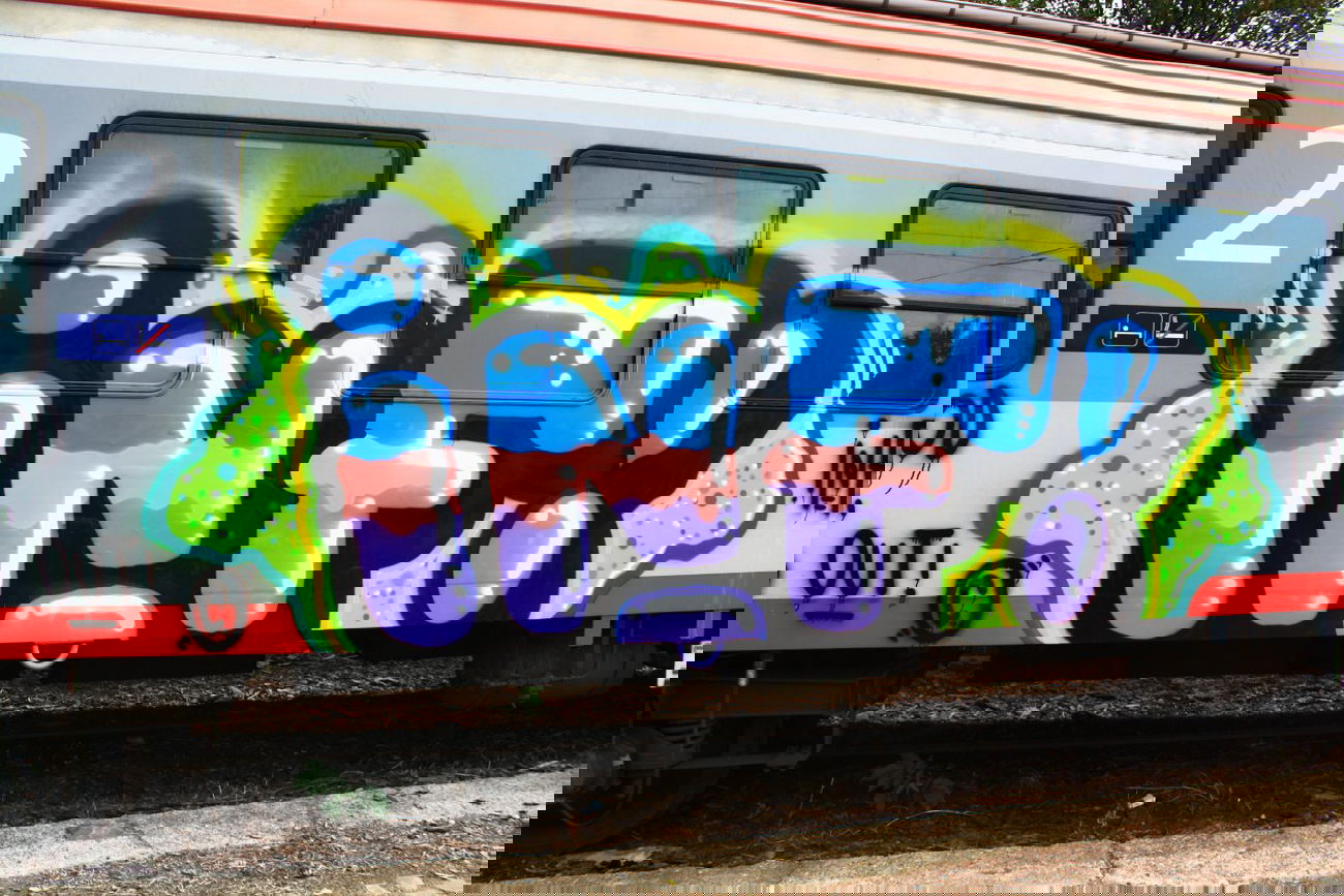 Graffiti Train - Photo by Dead07Monkey - INF