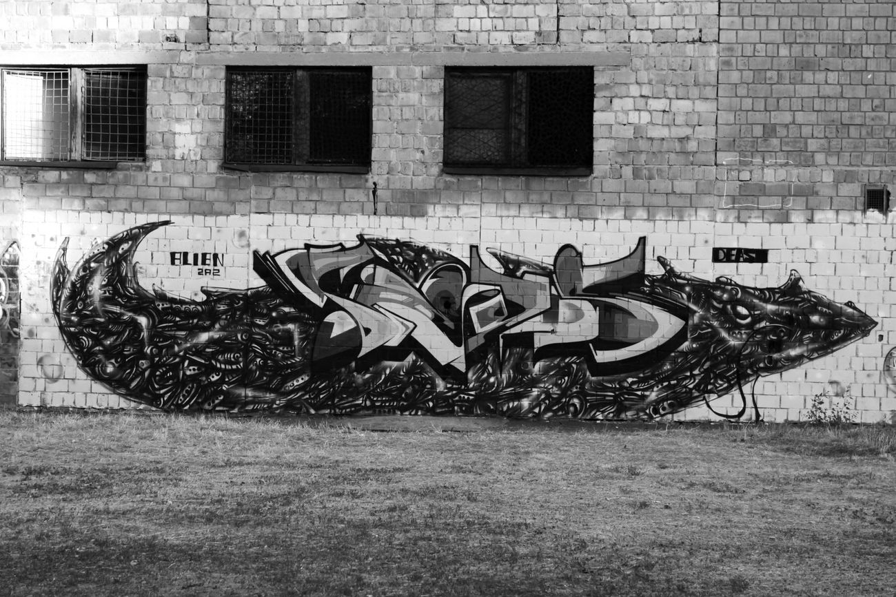 Graffiti Wall - Photo by Deas - Deas, Alien, 2015 (2015)