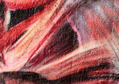 Photo #171893 by ThePunisher