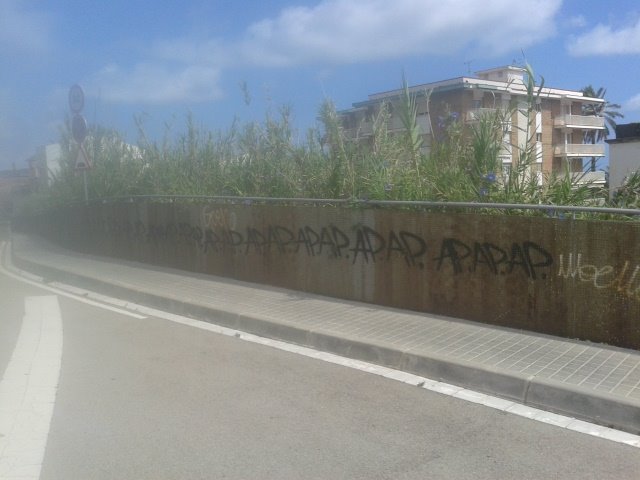 Graffiti Bombing - Photo by Deebsn - Ap, Serum