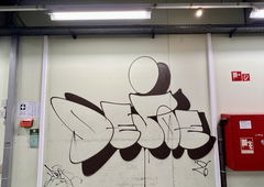 Photo #248932 by KNOCHEN