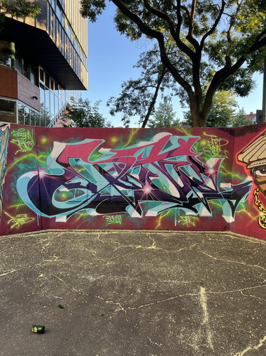 Graffiti Wall in Mannheim - Photo by Dejoe - dejoe, tds, dc (2026)