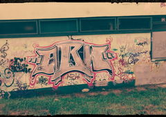 Photo #117562 by ulica