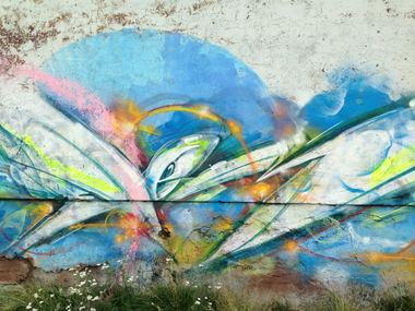 Graffiti Bombing - Photo by Dem1 - Dem1 (2013)