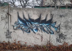 Photo #235493 by BugZBuNNy