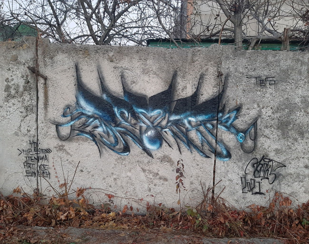 Graffiti Wall in Вінниця - Photo by Demks (2021)