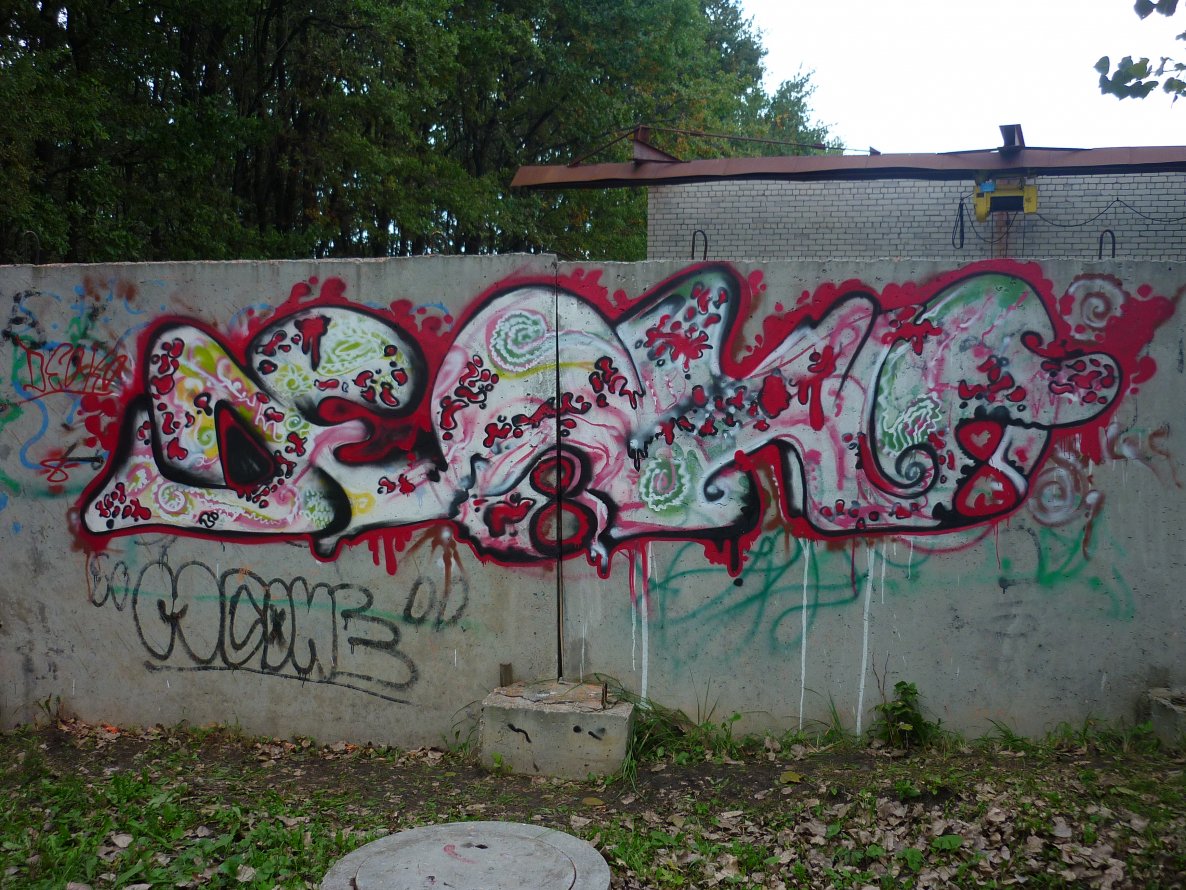 Graffiti Wall - Photo by Deoko - Deoko (2013)