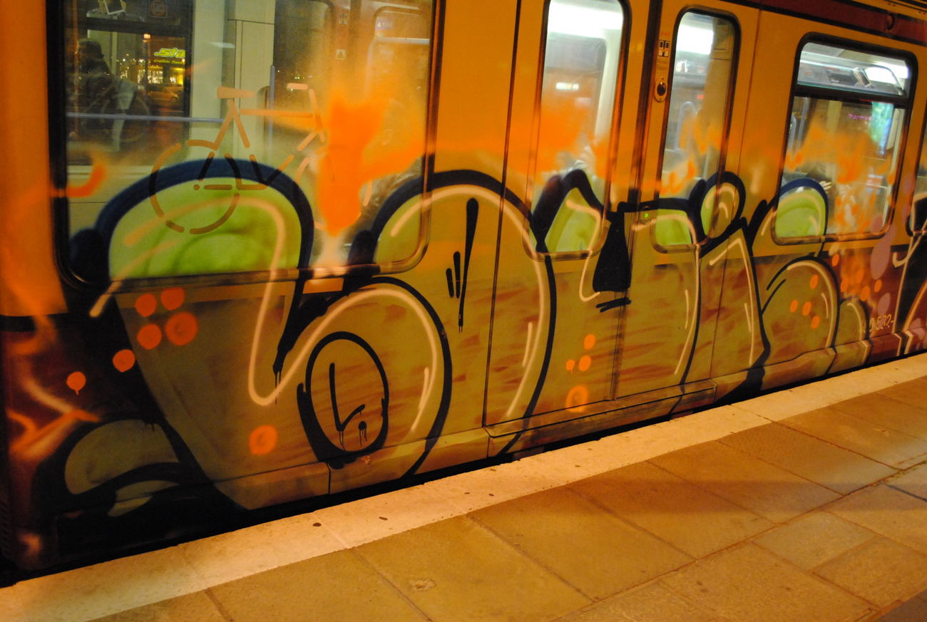 Graffiti Train in BERLIN - Photo by DerDieDas - Louis (2015)