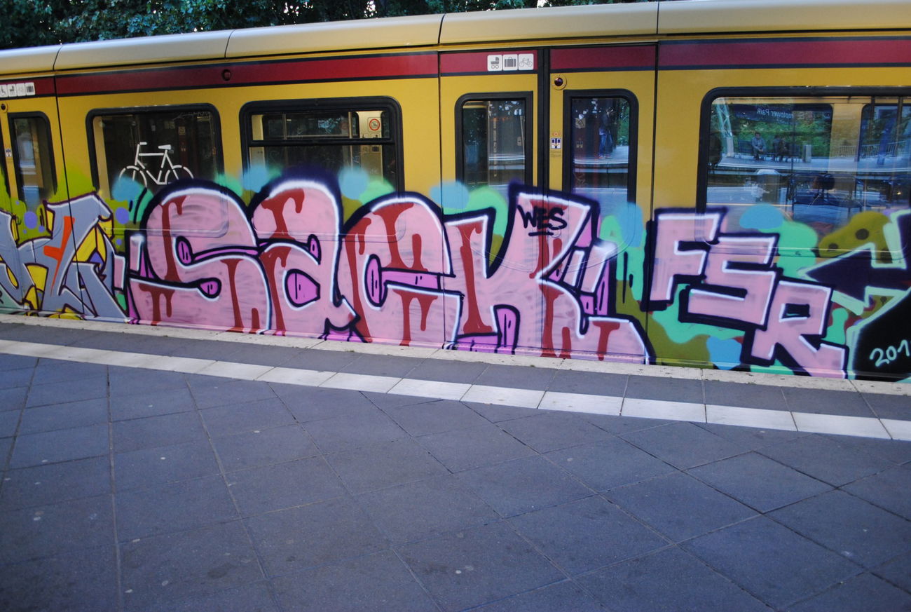 Graffiti Train in Berlin Treptow - Photo by DerDieDas - Sack, Fsr (2015)