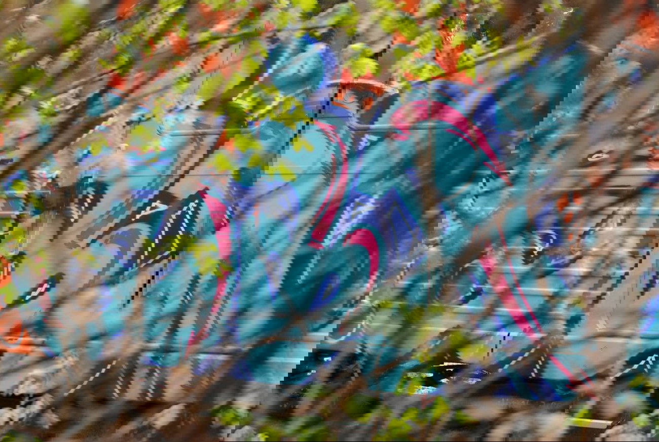 Graffiti Train in Berlin - Photo by DerDieDas - Six