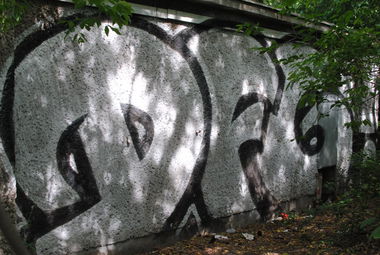 Graffiti Bombing in Berlin - Photo by DerDieDas - Dfg