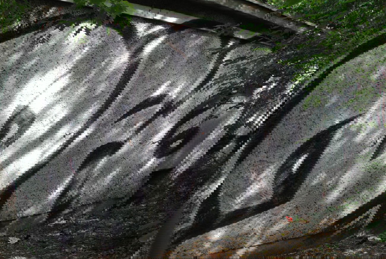 Graffiti Bombing in Berlin - Photo by DerDieDas - Dfg