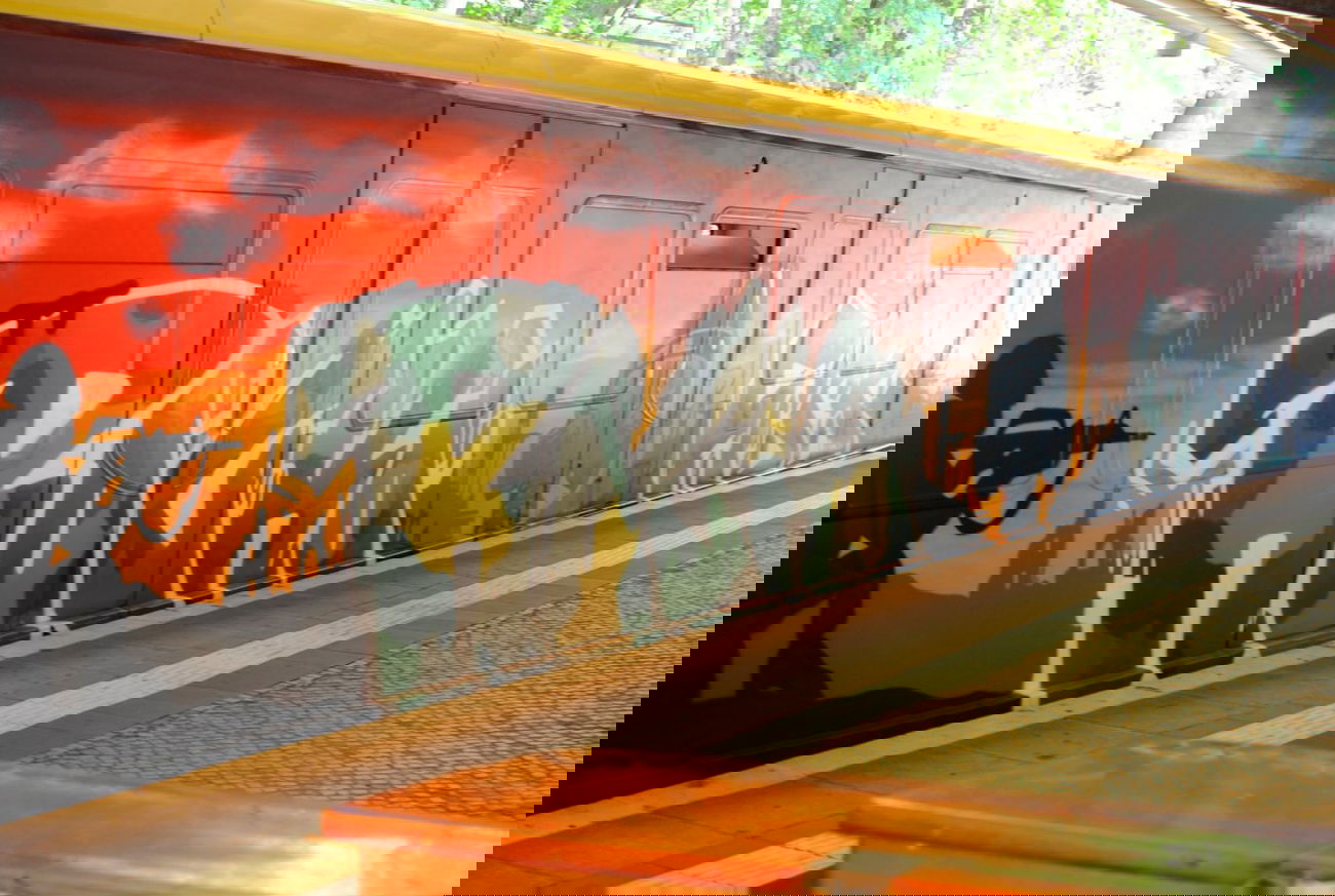 Graffiti Train in Berlin - Photo by DerDieDas - Rocko, Fiss (2014)