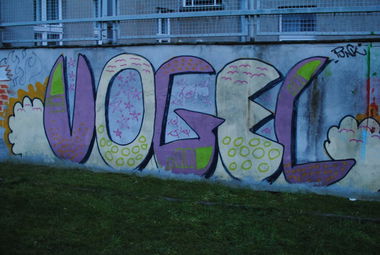 Graffiti Bombing in Berlin - Photo by DerDieDas - Vogel