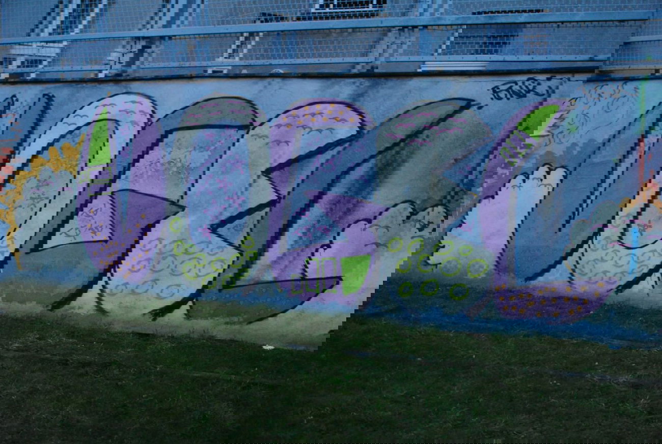 Graffiti Bombing in Berlin - Photo by DerDieDas - Vogel