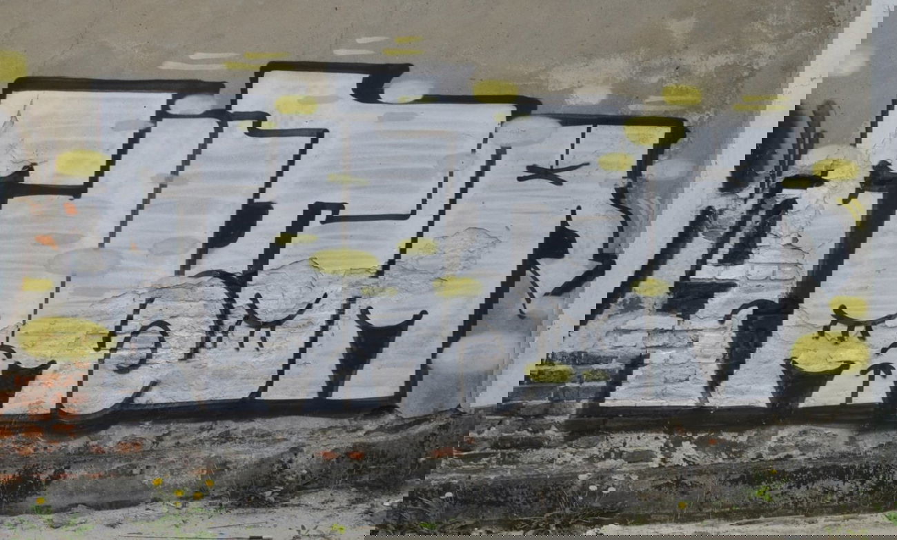 Graffiti Bombing in Berlin - Photo by DerDieDas - Fantom