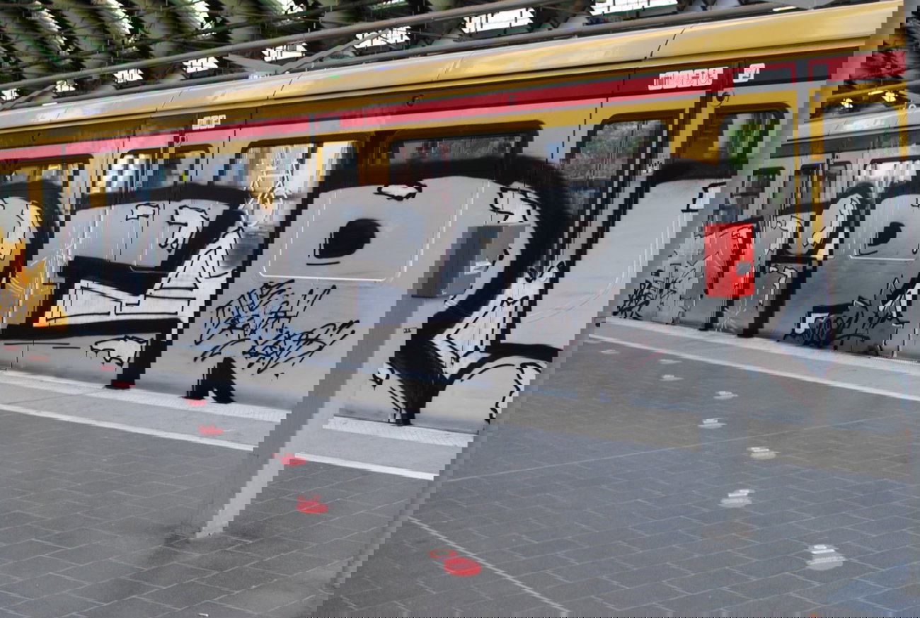 Graffiti Train in Berlin - Photo by DerDieDas - Viper (2014)