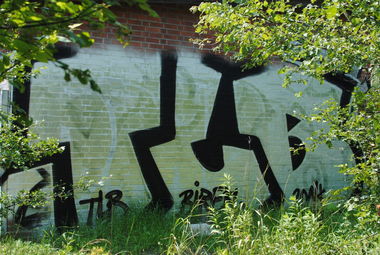 Graffiti Bombing in Berlin - Photo by DerDieDas - Tlb (2014)