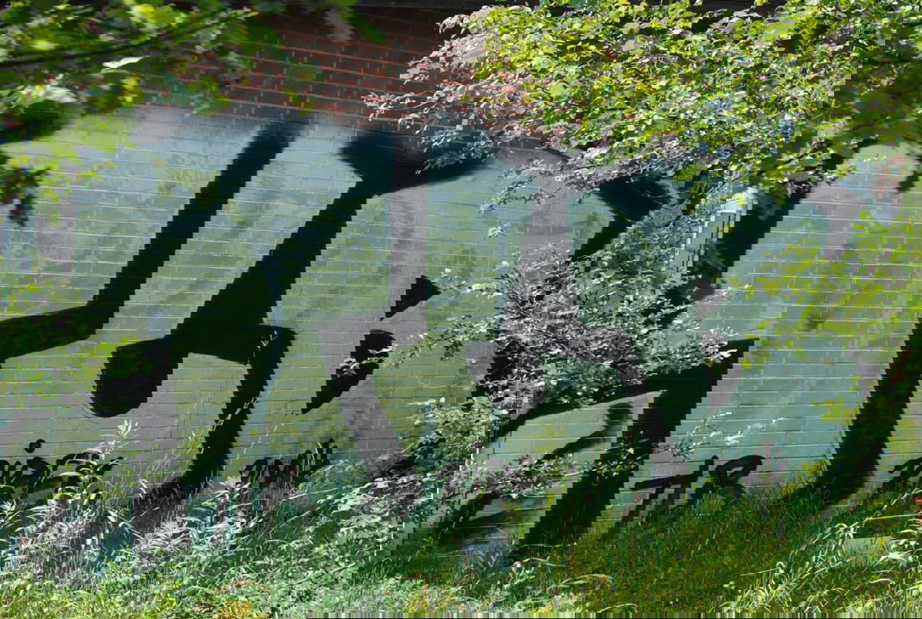 Graffiti Bombing in Berlin - Photo by DerDieDas - Tlb (2014)