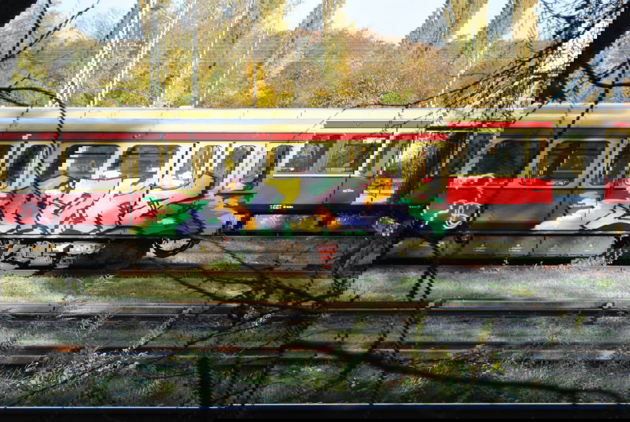 Graffiti Train in Berlin - Photo by DerDieDas - Rokz (2010)