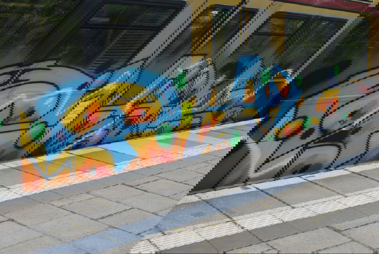 Graffiti Train in Berlin - Photo by DerDieDas - Plak (2014)