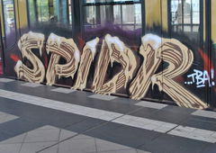 Photo #151233 by ion