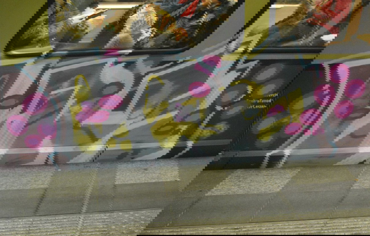 Graffiti Train in Berlin - Photo by DerDieDas - Lrs (2014)