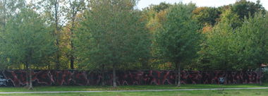 Graffiti Bombing in Berlin - Photo by DerDieDas - Big, High, Fresh