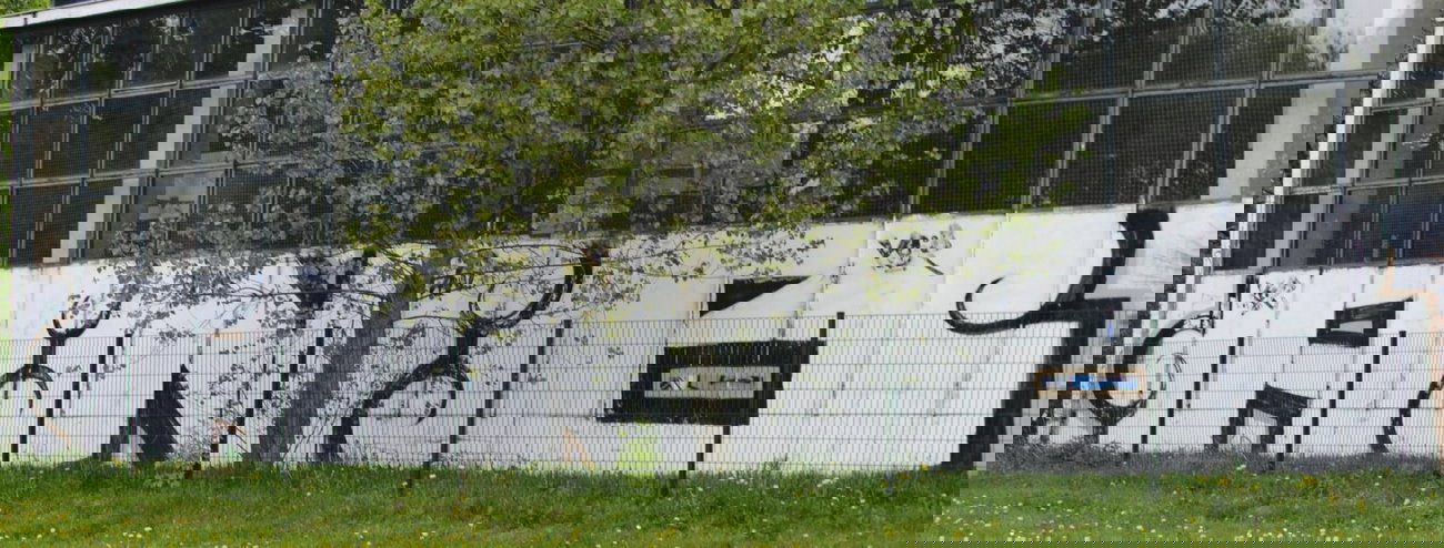 Graffiti Bombing in Berlin - Photo by DerDieDas - Anb