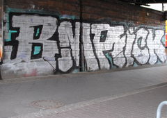 Photo #141583 by MezaEC