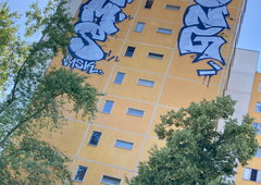 Photo #249826 by iobe1