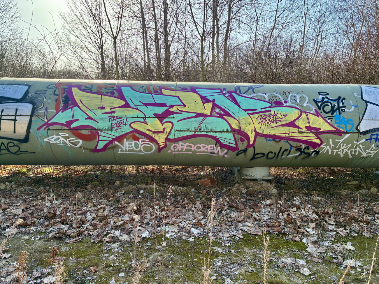 Graffiti Bombing in Berlin - Photo by DerDieDas - Bfek (2024)