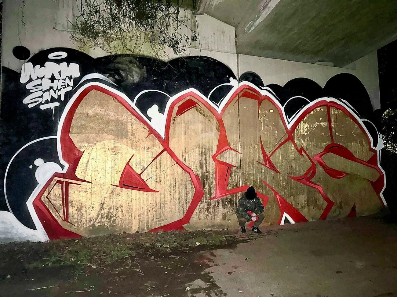 Graffiti Wall in MÖNCHENGLADBACH - Photo by DerDieDas - DLRG, Norm, Sant (2026)