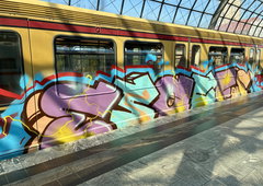 Graffiti Train in Berlin - Photo by DerDieDas - Esa, Cfs (2026)