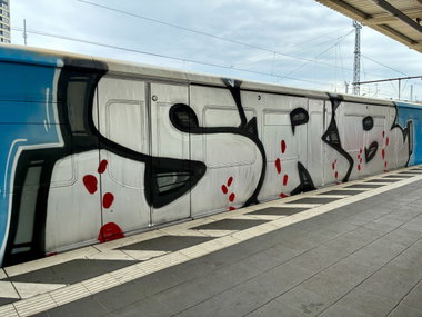 Graffiti Train - Photo by DerDieDas - SRB (2026)