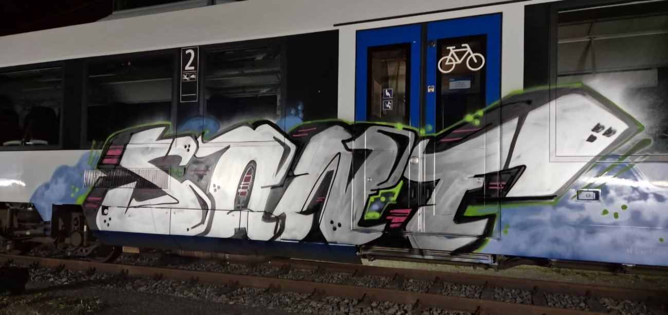 Graffiti Train in Mönchengladbach - Photo by DerDieDas - Sant (2025)