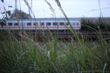 Graffiti Artwork - Photo by DerHartzer