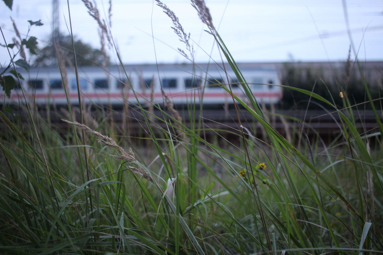 Graffiti Artwork - Photo by DerHartzer