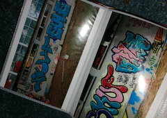 Photo #231006 by TheWallHunter