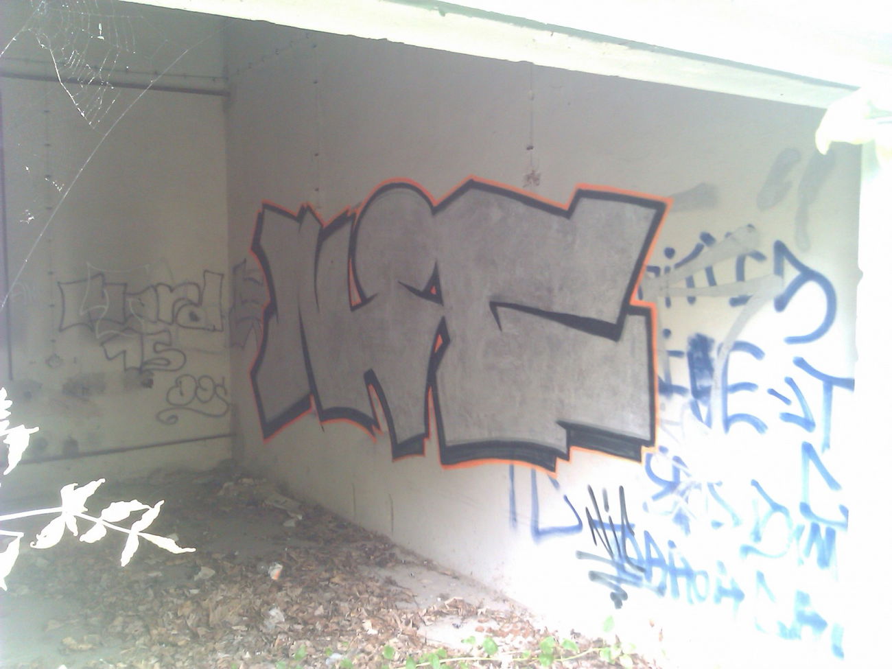 Graffiti Bombing - Photo by DerKoeter - nic, magdeburg