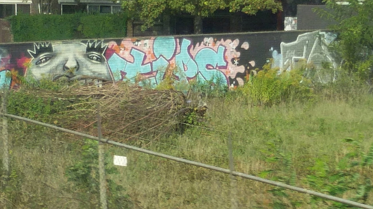 Graffiti Wall - Photo by DerKoeter