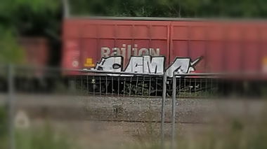 Graffiti Train - Photo by DerKoeter