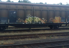 Graffiti Train - Photo by DerKoeter - cargo, helmstedt, nac (2008)