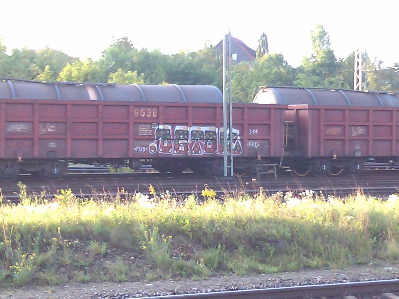 Graffiti Train - Photo by DerKoeter - detok, cargo, helmstedt